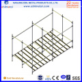 Venta caliente para el almacenaje / el almacenaje Carton Flow Rack